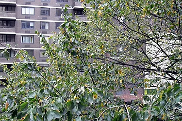 Sold by Bellmarc Realty