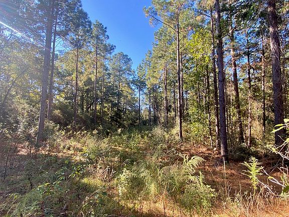 5th image of PARCEL 11405 County Road 2265
