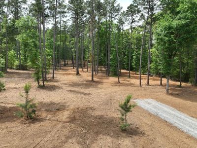 Harkins Ln, Marshall, TX, 75672