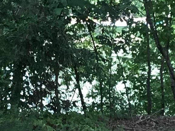 4th image of Culbreath Point