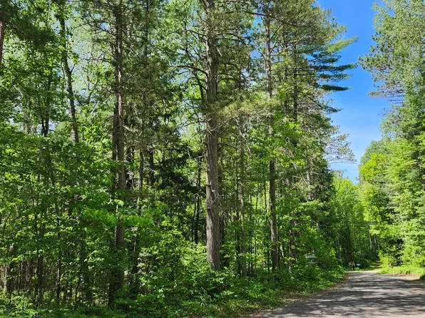 Bills Lake Rd, Lac Du Flambeau, WI 54538