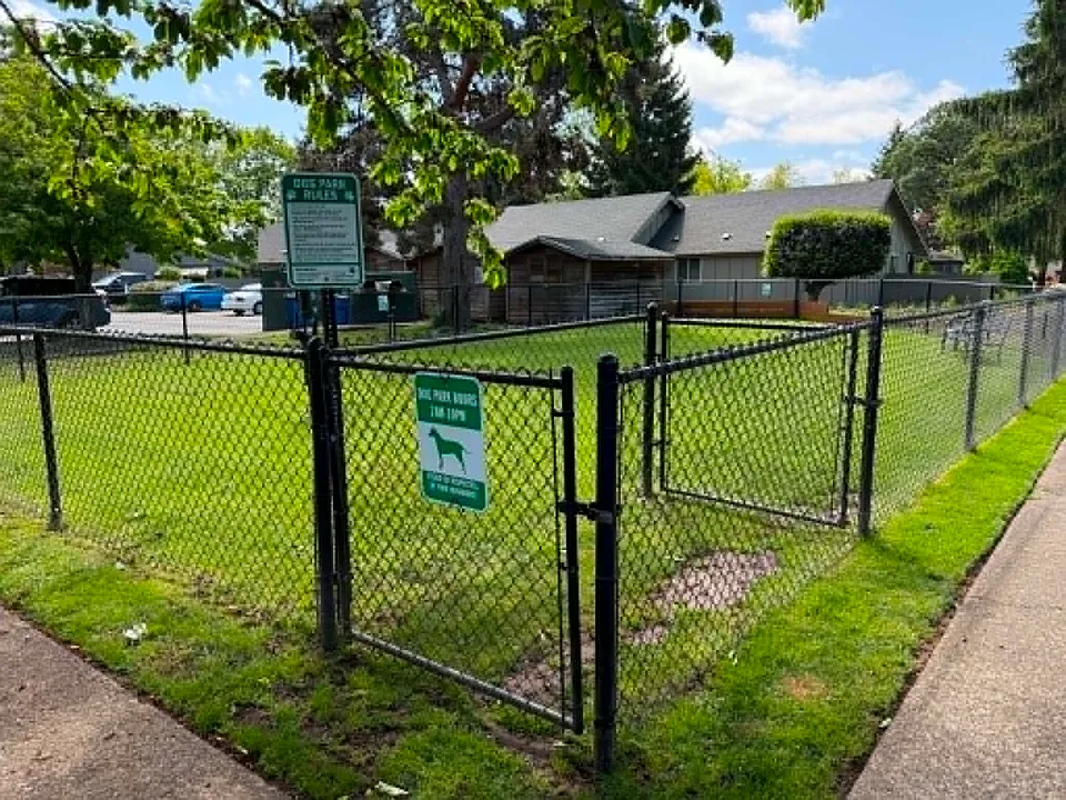 Dog Park