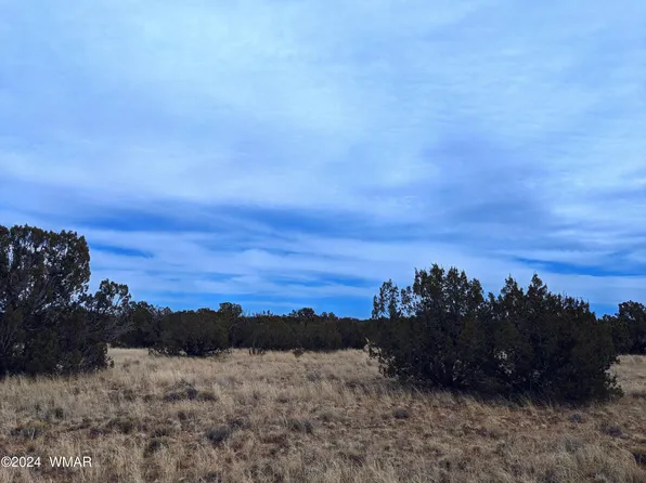 Main St, Heber, AZ 85928