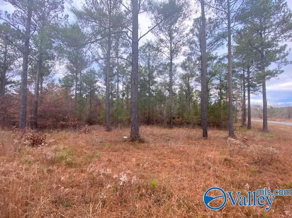 County Road 616, Cedar Bluff, AL 35959