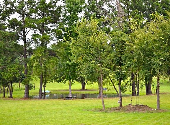 2nd image of 755 County Road 2050