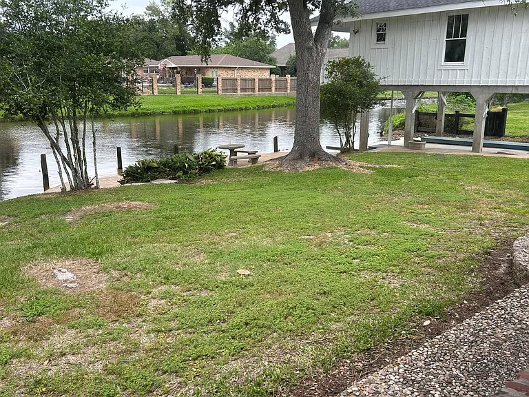 the bayou