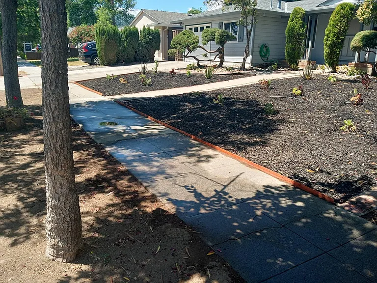 The front yard