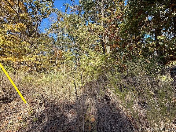 3rd image of Lots 19 & 20 Walnut Hills Rd