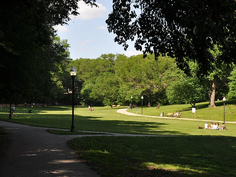 Dog Park- In short Walking Distance