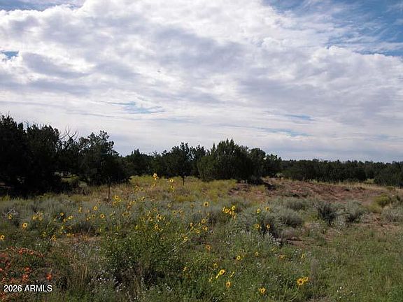 4th image of 206-10-409 Bar Nothing Ranch Road #-
