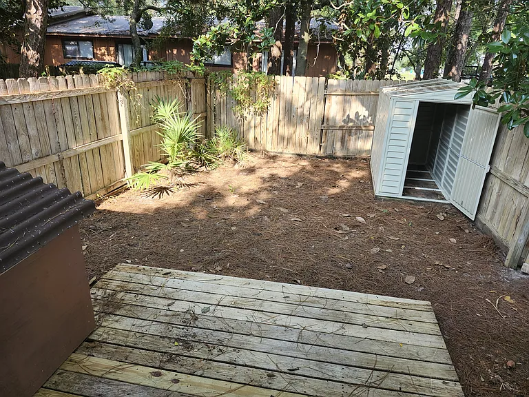 Backyard