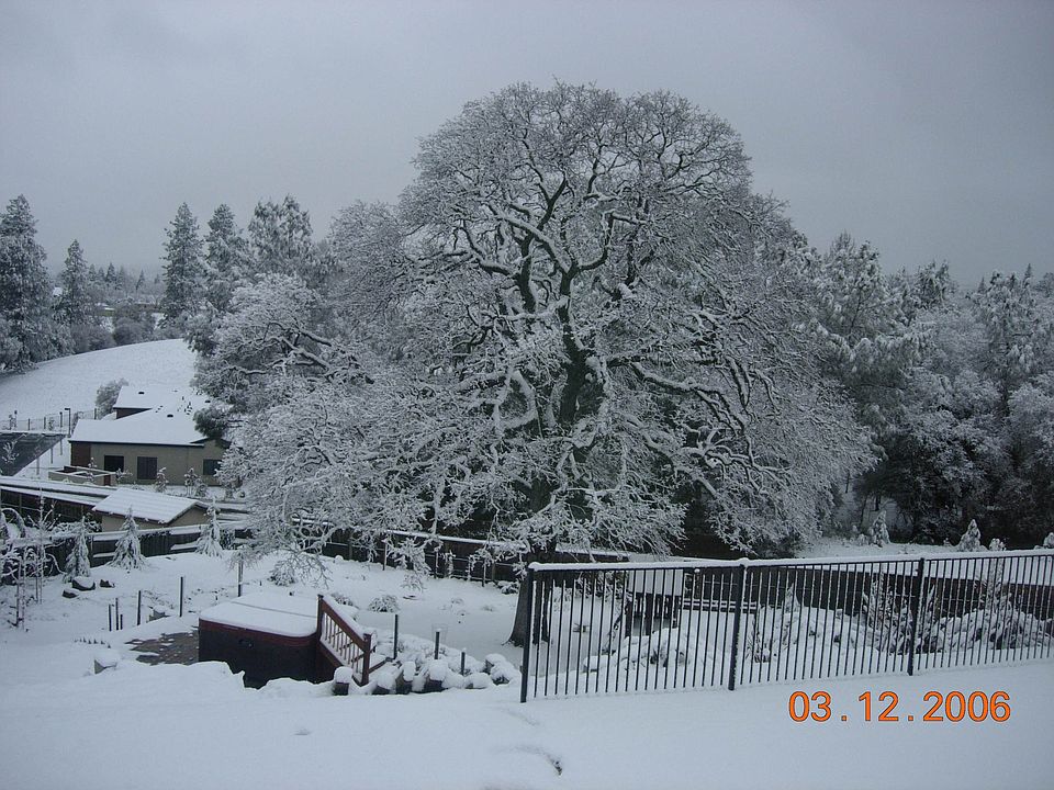 snow