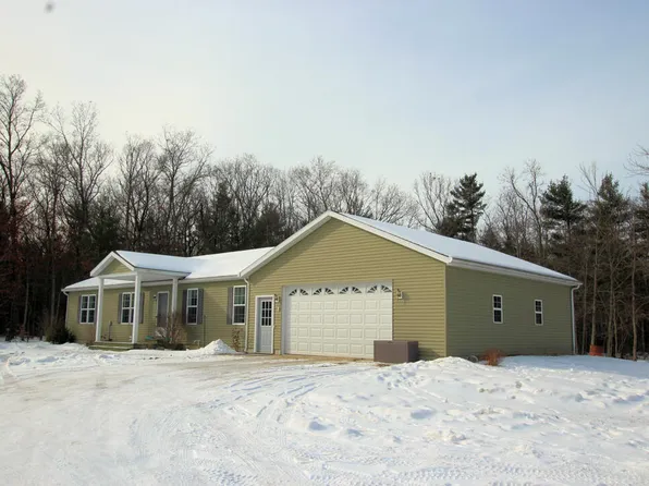 4530 E Valeries Way St, Newaygo, MI 49337