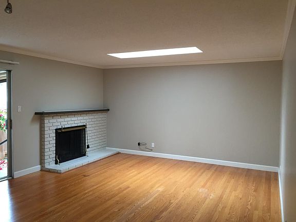 Fire place adn skylight