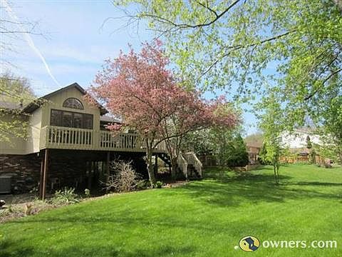 Back yard in springtime