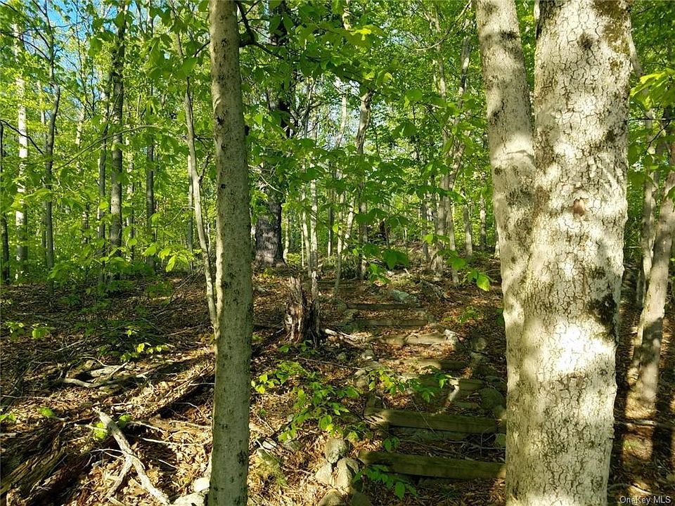 2nd image of Plank Rd
