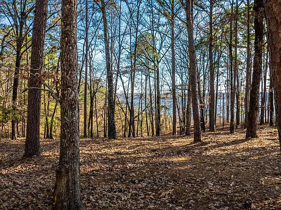 4th image of 0 Miller Point Dr Lot 46
