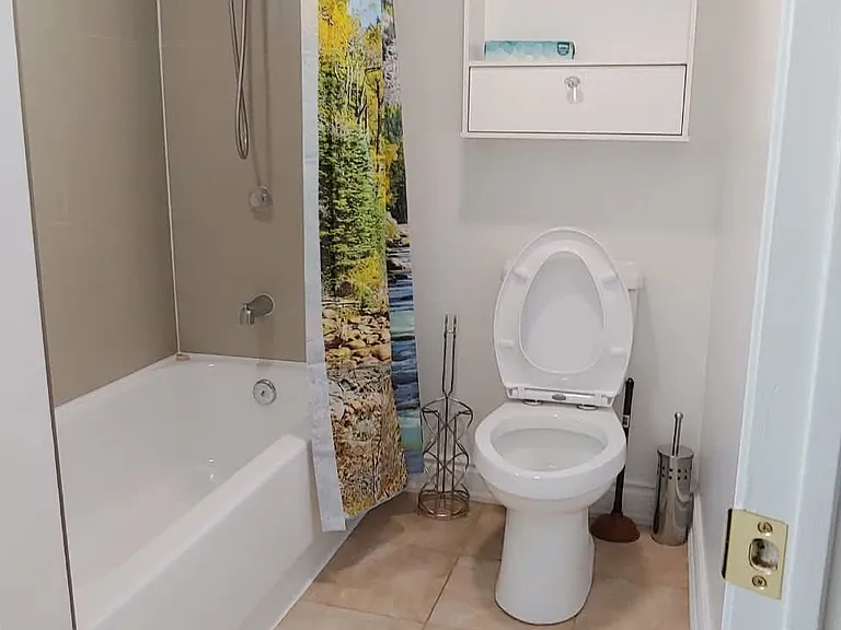 60 Marlin Ct #BASEMENT — Photo 9