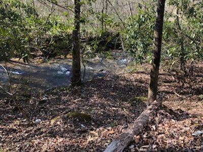 79AC Scott Hollow Rd, Ellijay, GA, 30540