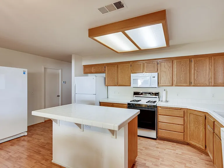 1409 Silk Tassel Dr — Photo 10