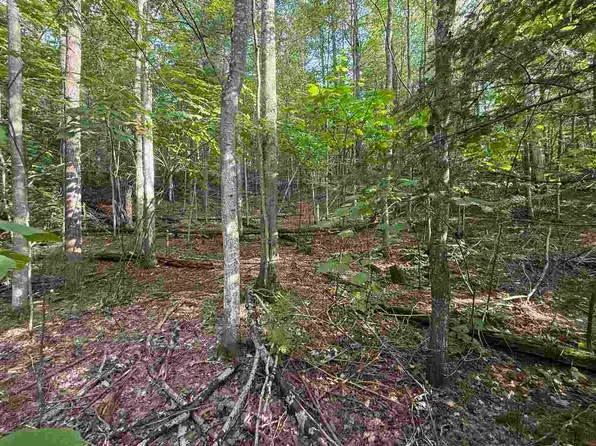 N Country Club Dr Lot 19, Charlevoix, MI 49720