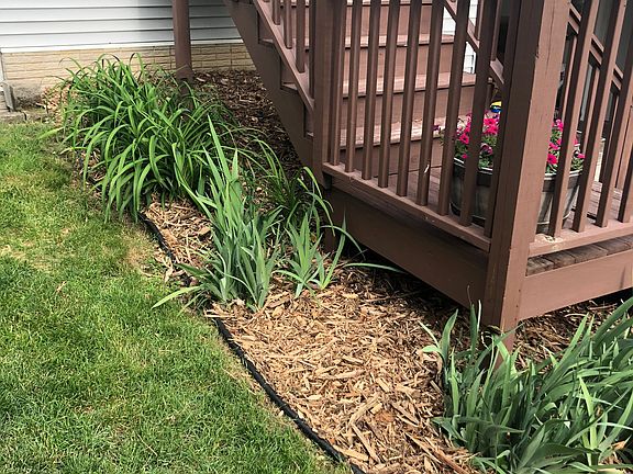 Front Steps/ Landscaping