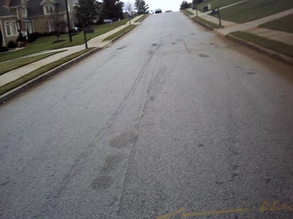 4th image of 4531 Mossey Dr