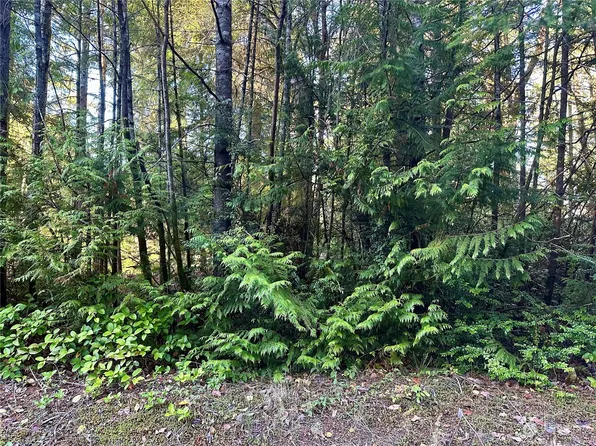 11315 Greenwood Drive, Anderson Island, WA 98303