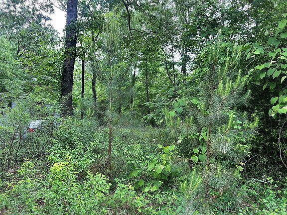 2nd image of LOT 22 Forester
