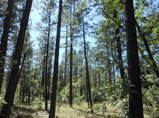 2060 S Pine Lake Rd, Pinetop, AZ 85935