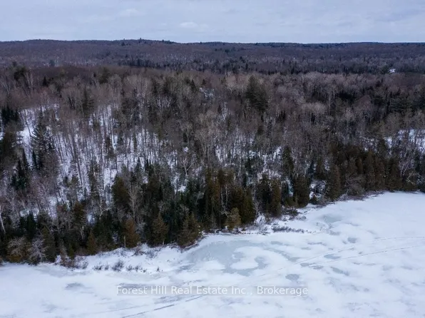 2193 Fern Glen Rd S, McMurrich/monteith, ON P0A 1Y0