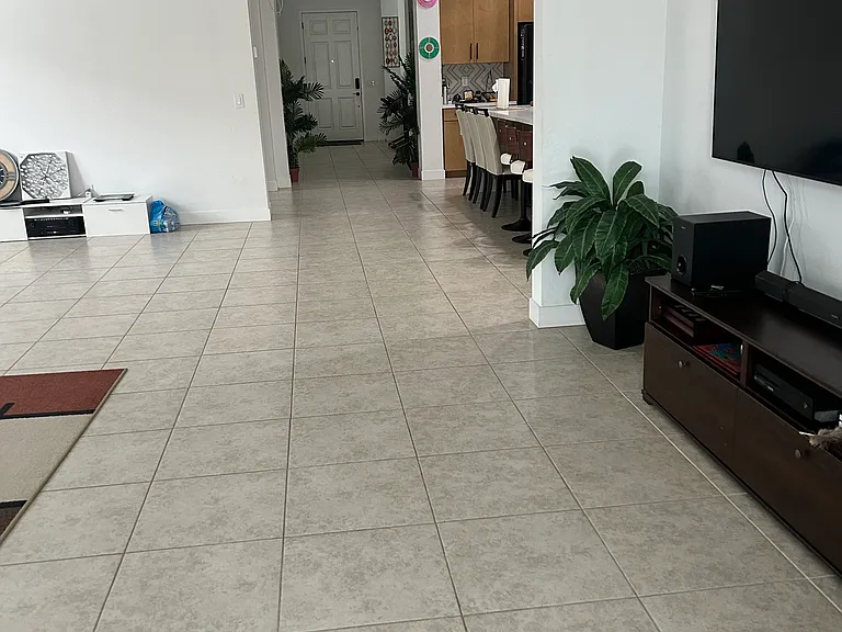 Hallway & Living Room / Great Area