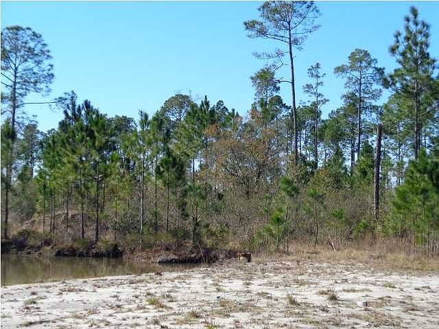 2nd image of 136 Longleaf Dr