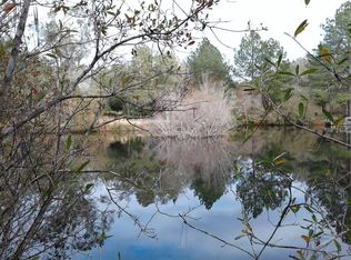 0 Scott Lindsay Dr, Sun City Center, AL 36571