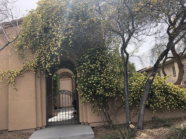10505 Bambola Pl — Photo 11