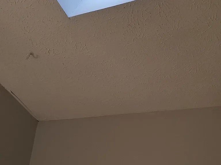Light pouring from the skylight in the main bathroom