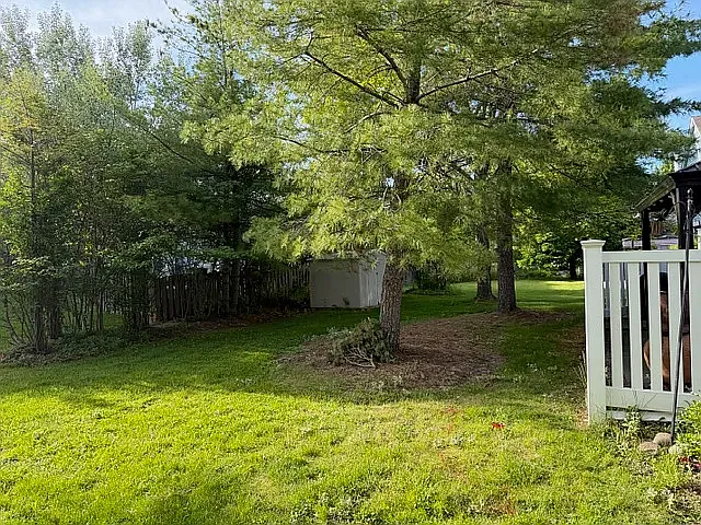 325 Bingham Cir — Photo 5