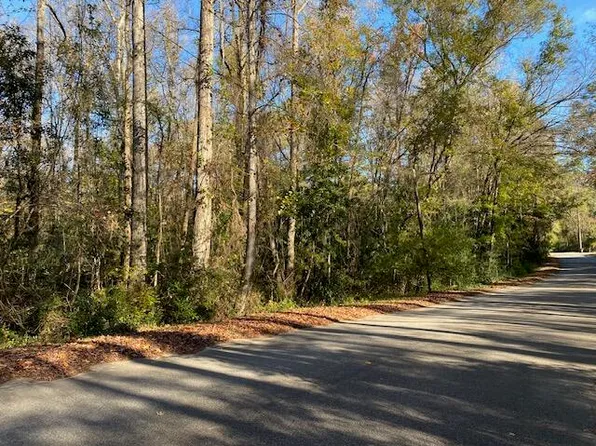 1468 Ireland Hills Dr, Walterboro, SC 29488