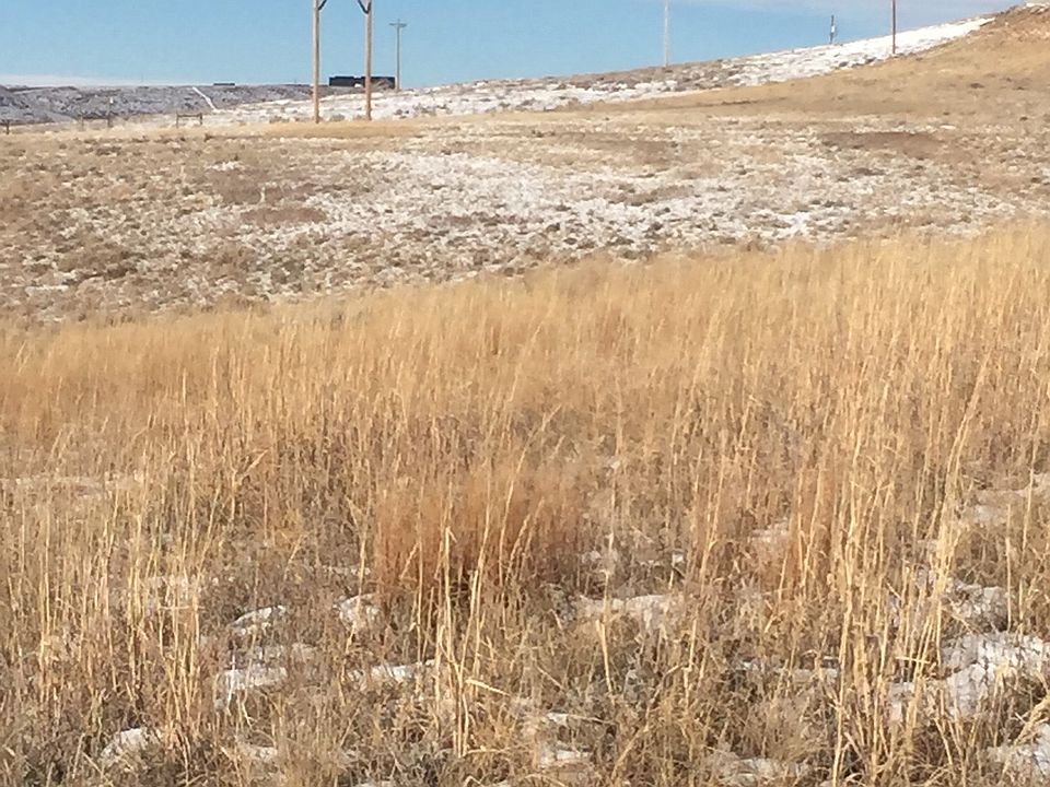 1st image of 10501 Hwy 59 S