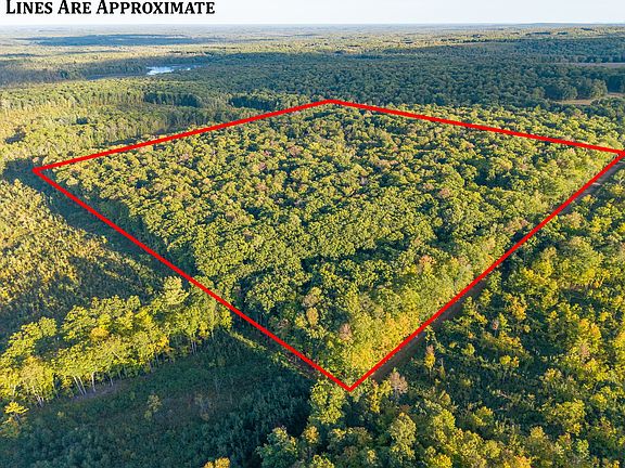 2nd image of 38.2 Acres Vierck Lane