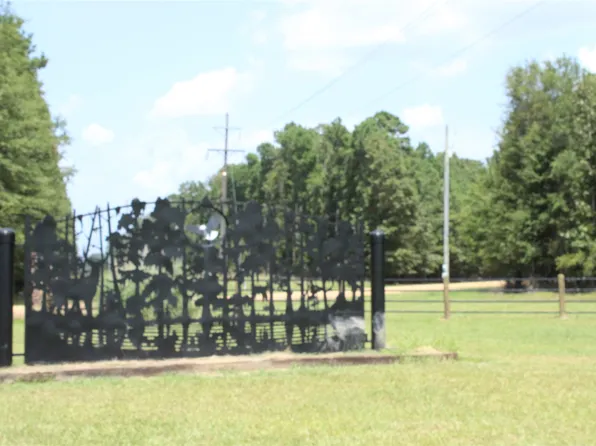 19-20 Eagle Rd, Lewisville, AR 71845