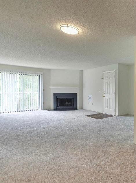 Living room area with fireplace.