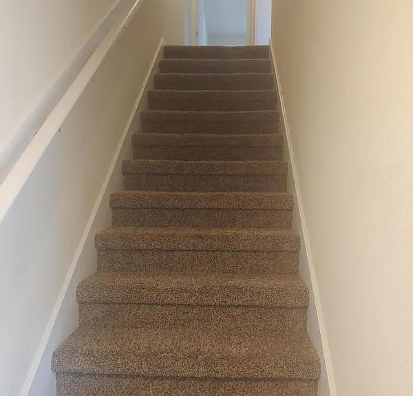 340 Servia Dr — Photo 18