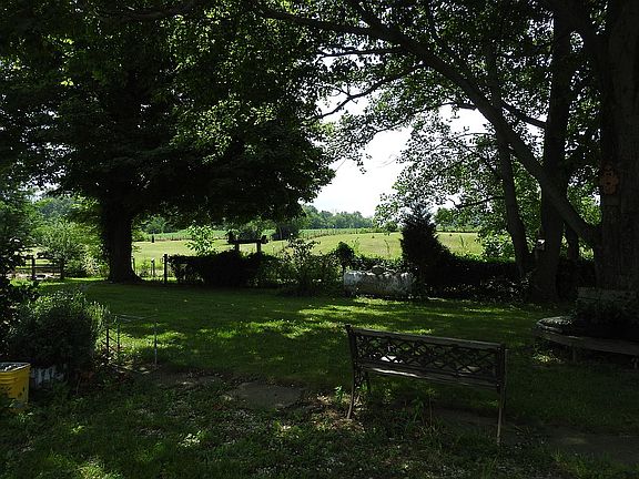 Shaded back lawn