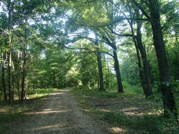 10300 Us Highway 82 W, Starkville, MS 39759