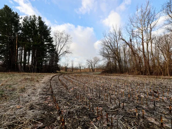 Vl W Glendora Rd, Buchanan, MI 49107