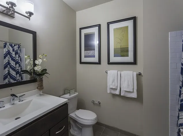 Chestnut Pointe Apartments — Photo 13