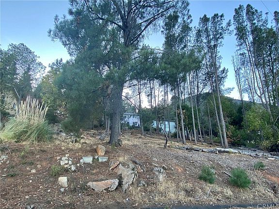 4th image of 3525 Knob Cone Dr