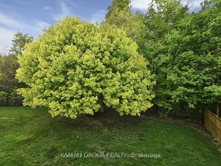 72 Osprey Ridge Rd — Photo 18