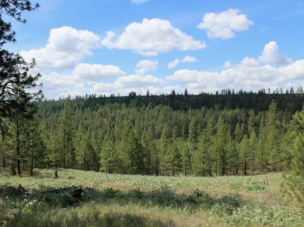 Flicker 1 Sontag Ridge Ln, Davenport, WA 99122